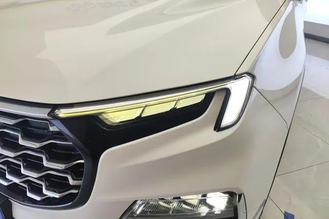 Ford Lingyu EcoBoost 225 6-seater premium collar type