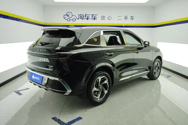 Hongqi Hongqi HS3 1.5T Shanwei Edition