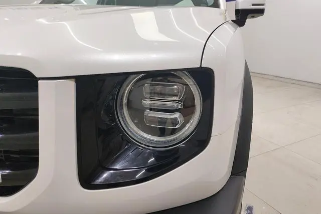 Haval Haval Big Dog 1.5T two-wheel drive Bianmu-Wangcai Edition