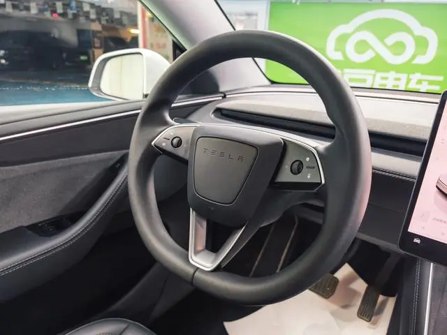 Tesla Model Y Rear-wheel drive version