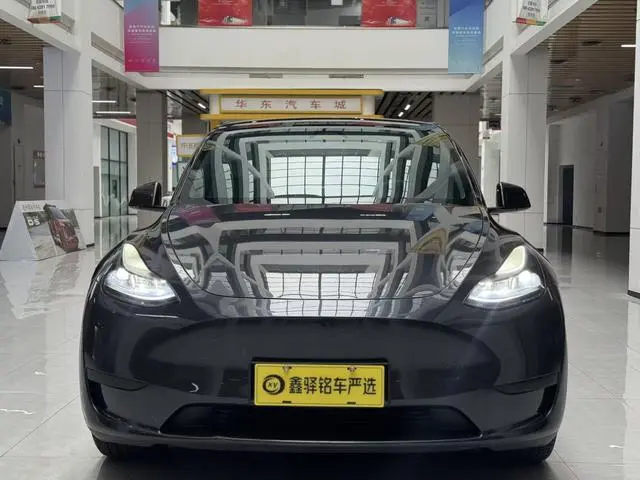 Tesla Model Y Rear-wheel drive version