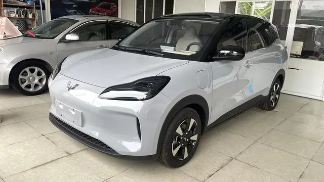 Wuling Wuling Bingguo PLUS 330km five-seater version