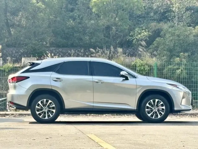 Lexus Lexus RX Facelift 300 two-wheel drive comfort version