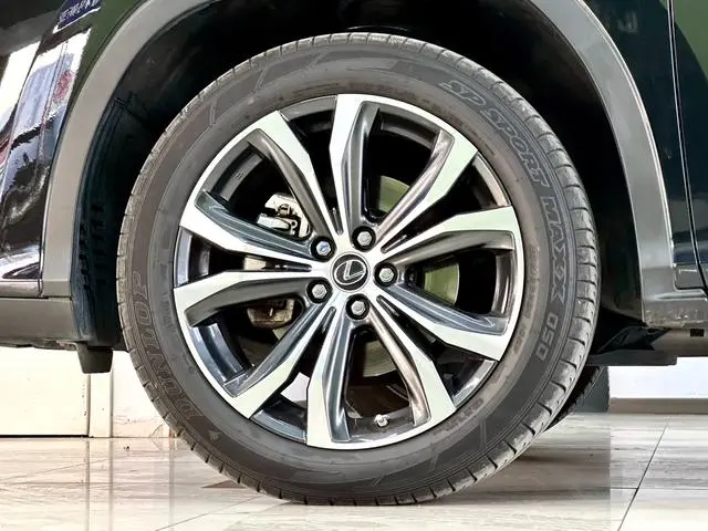 Lexus Lexus RX 300 four-wheel drive Special Edition