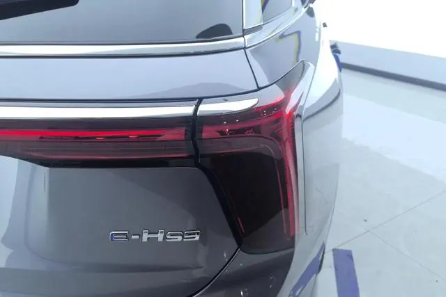 Hongqi Hongqi E-HS9 460km Flag Enjoy edition six seats