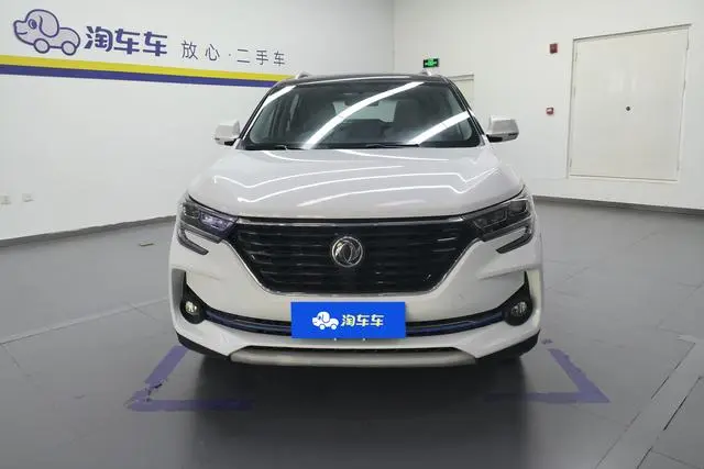 Dongfeng Fengxing Popular T5 1.6L manual exclusive type Country VI