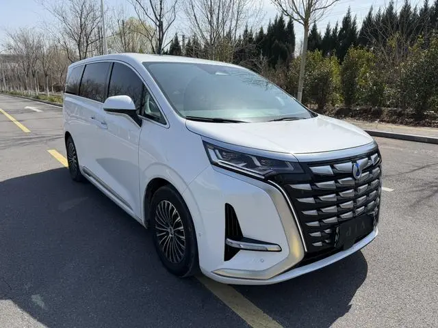 Denza Denza D9 DM 970 four-wheel drive flagship