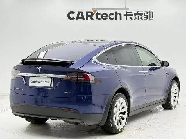 Tesla Model X 100D long battery life version