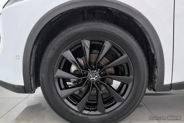 Venucia Qichen Big V 260T King Edition
