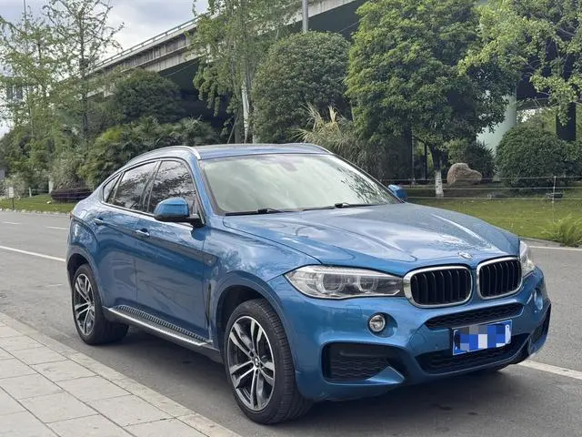 BMW BMW X6 xDrive35i leading type