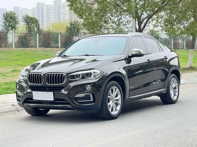 BMW BMW X6 xDrive35i leading type