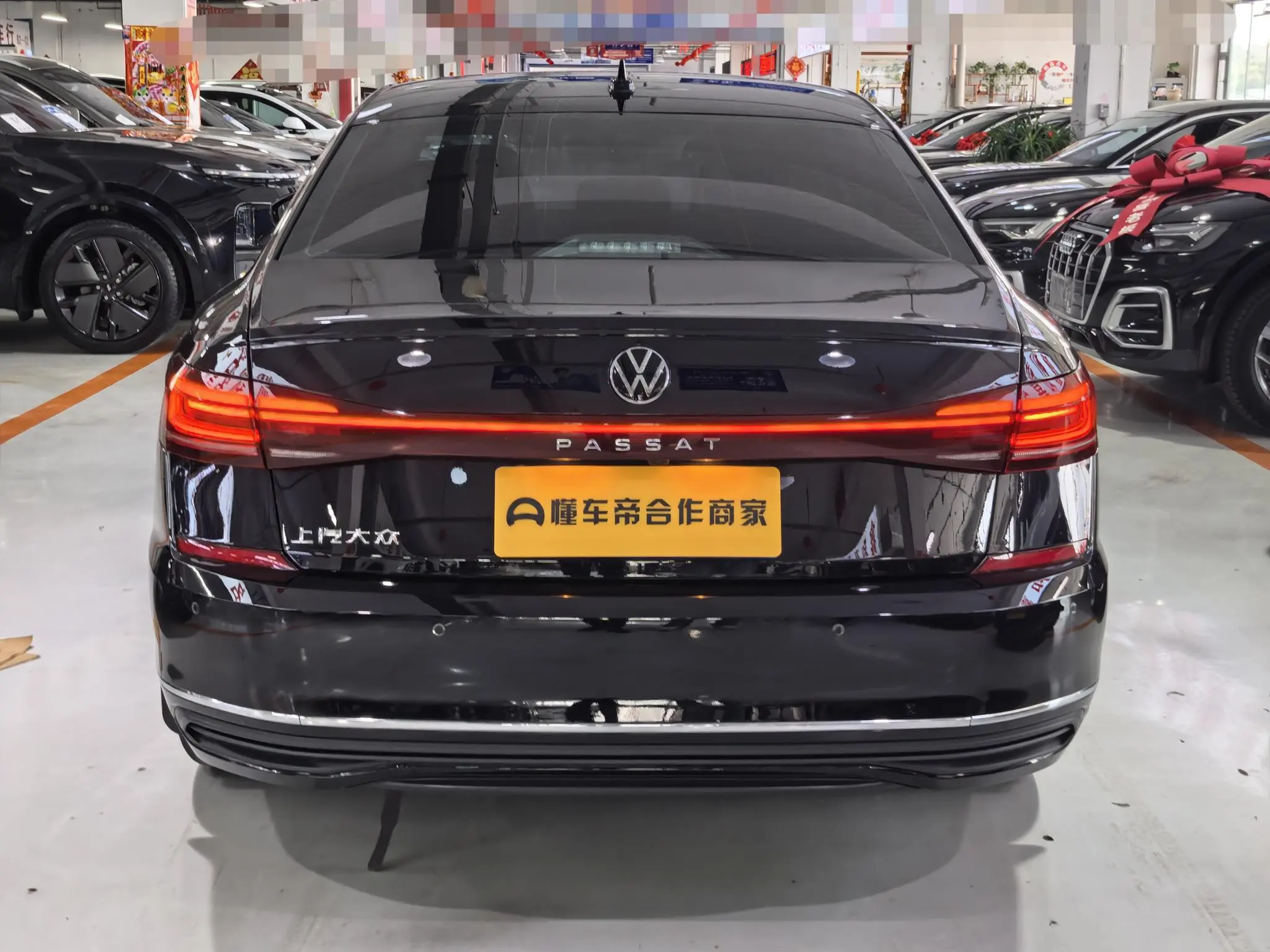 Volkswagen Passat Outstanding 330TSI Starry Sky Elite Edition