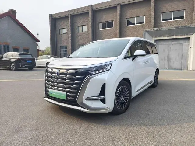 Denza Denza D9 DM 980 four-wheel drive honor type