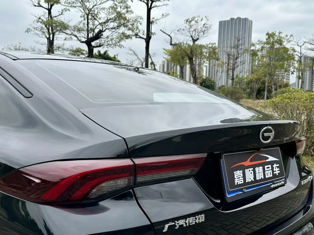 GAC Shadow Leopard 270T J16 version