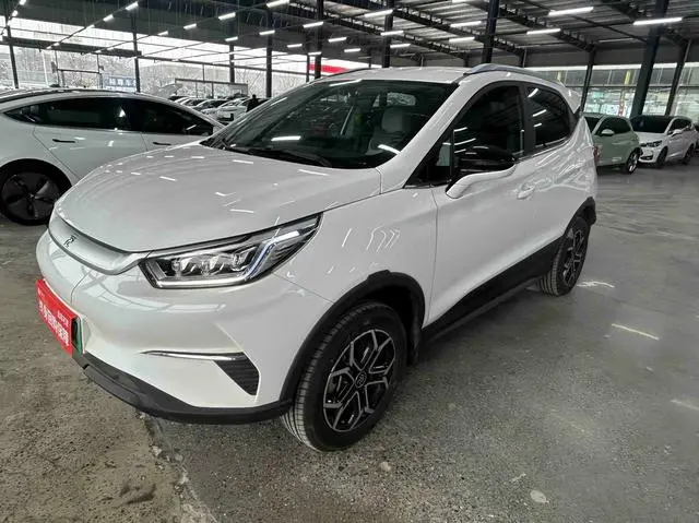 BYD Yuan Pro To love for a lifetime edition