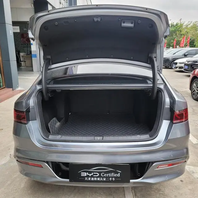 BYD Qin PLUS EV 510KM travel version