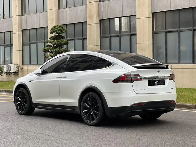 Tesla Model X 100D long battery life version