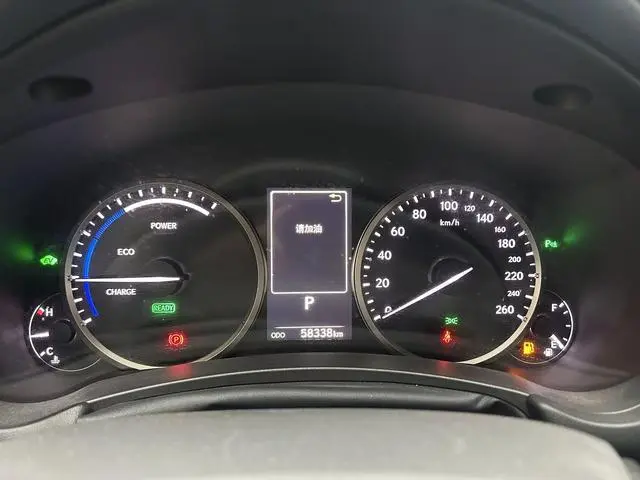 Lexus Lexus NX 300h front drive Fengshang version Country V