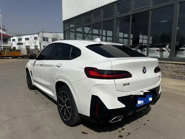 BMW BMW X4 xDrive 25i M sports suit