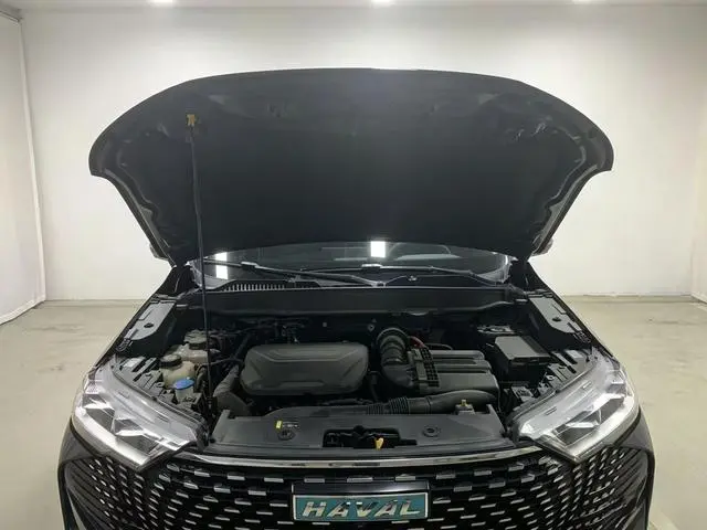 Haval Haval H6 PHEV 1.5T DHT-PHEV 110km smooth version