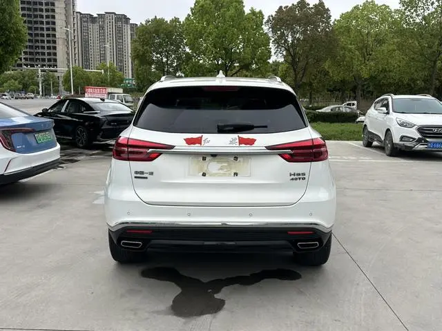 Hongqi Hongqi HS5 2.0T Zhilian Qixiang four-wheel drive version