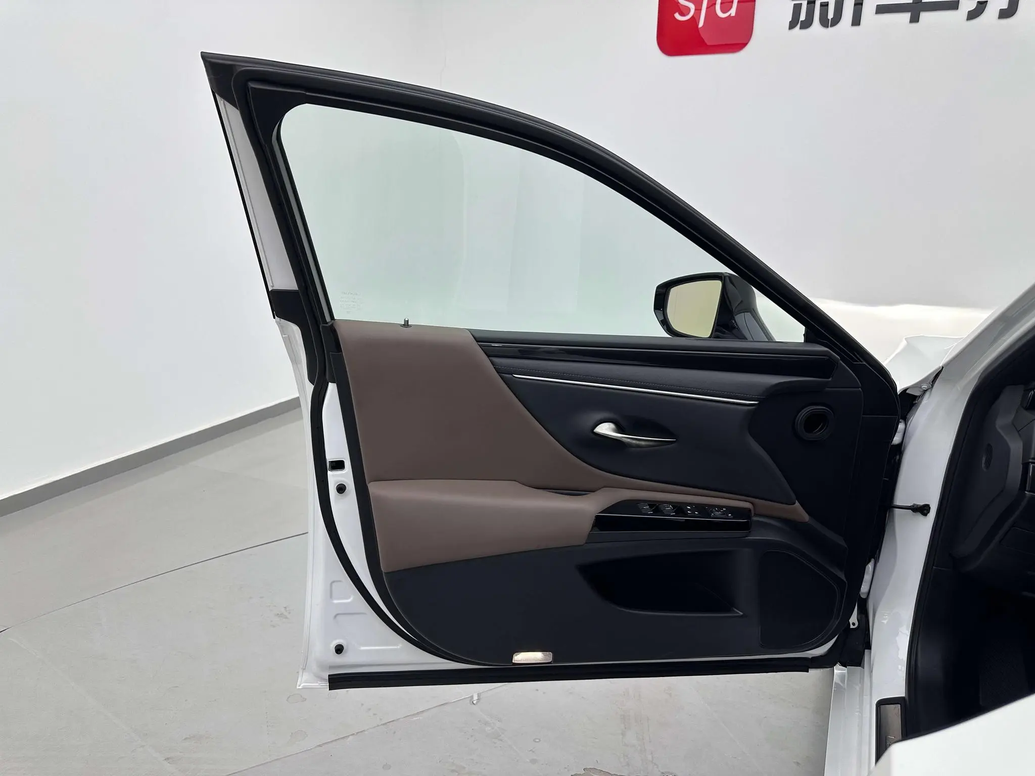 Lexus Lexus ES 300h Premium Edition