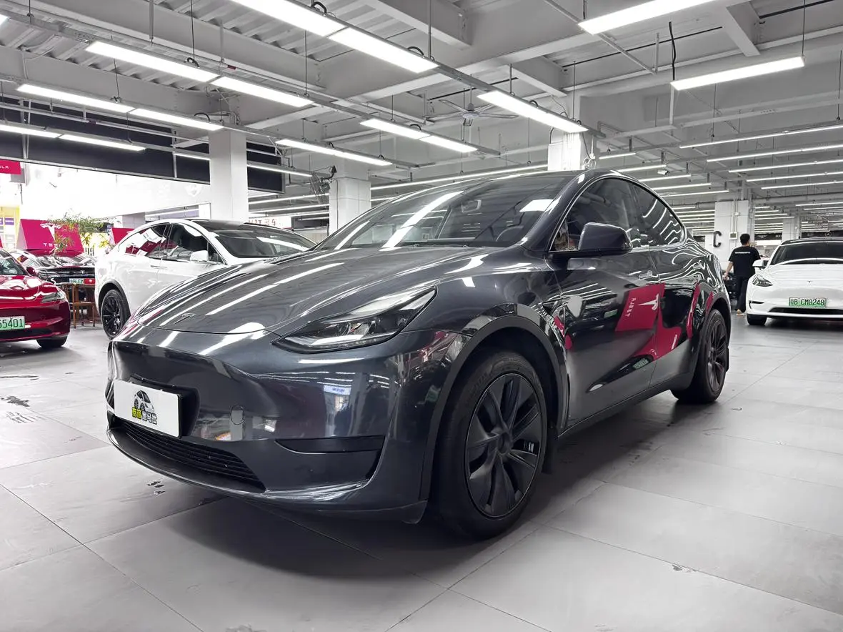 Tesla Model Y Rear-wheel drive version