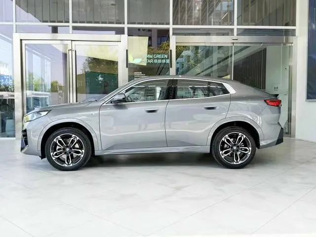 BMW BMW X2 (imported) sDrive25i M sports suit