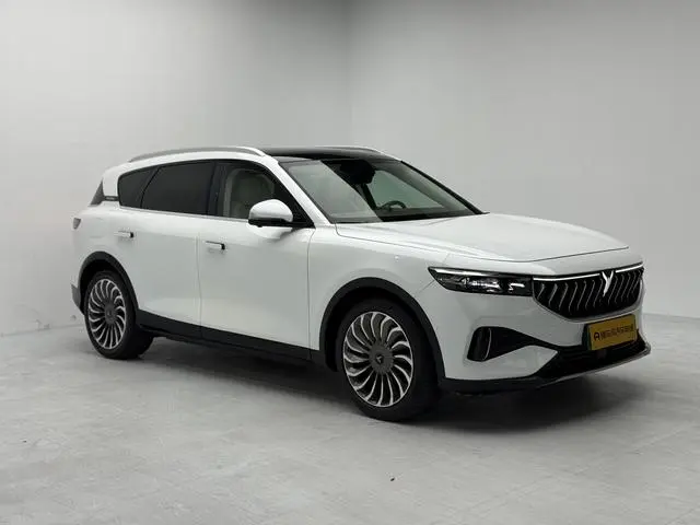 VOYAH Lan Tu FREE Four-wheel drive standard range extension exclusive luxury set