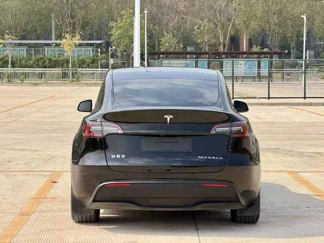 Tesla Model Y Rear-wheel drive version