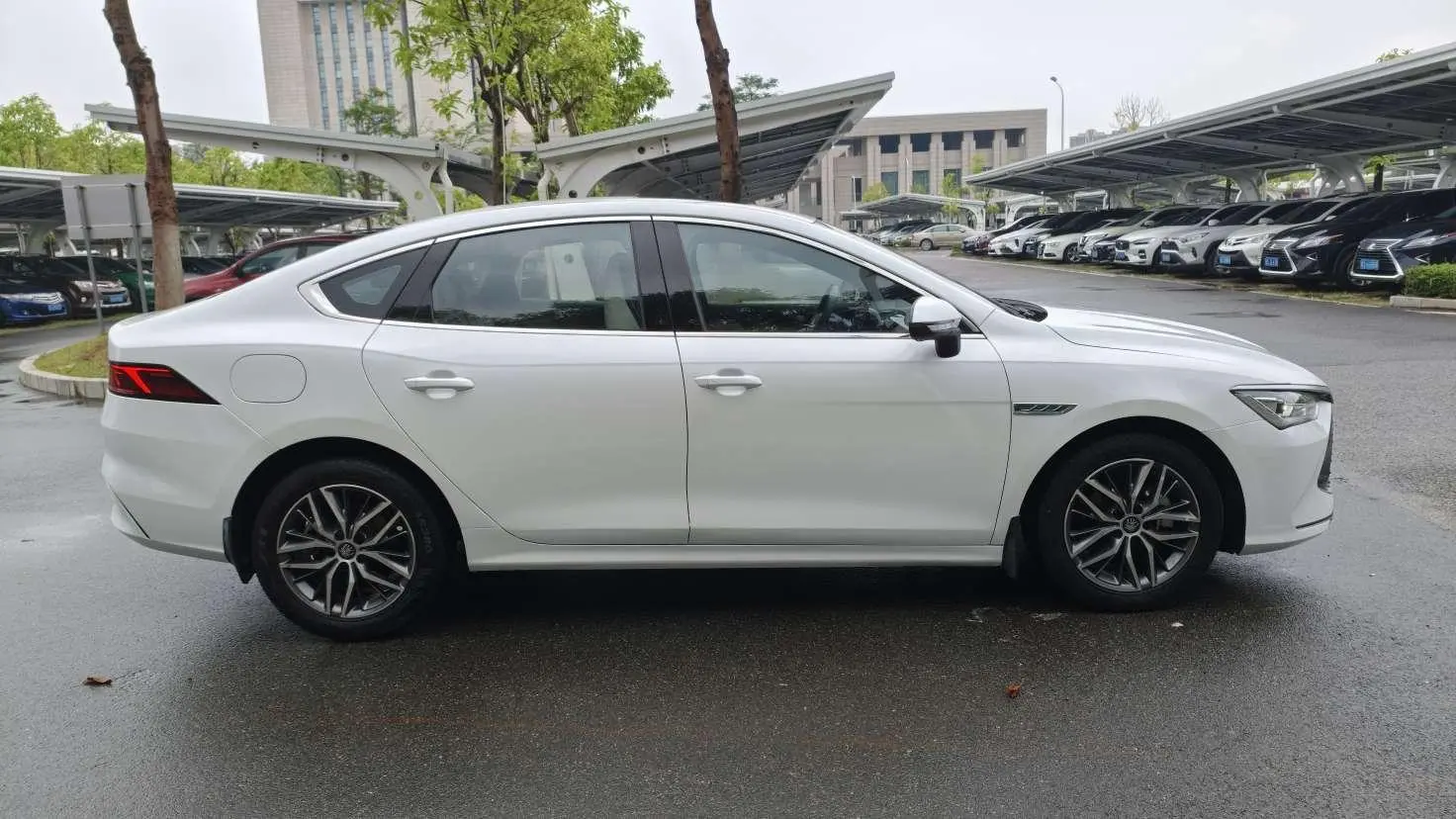 BYD Qin PLUS DM DM-i 55KM flagship type
