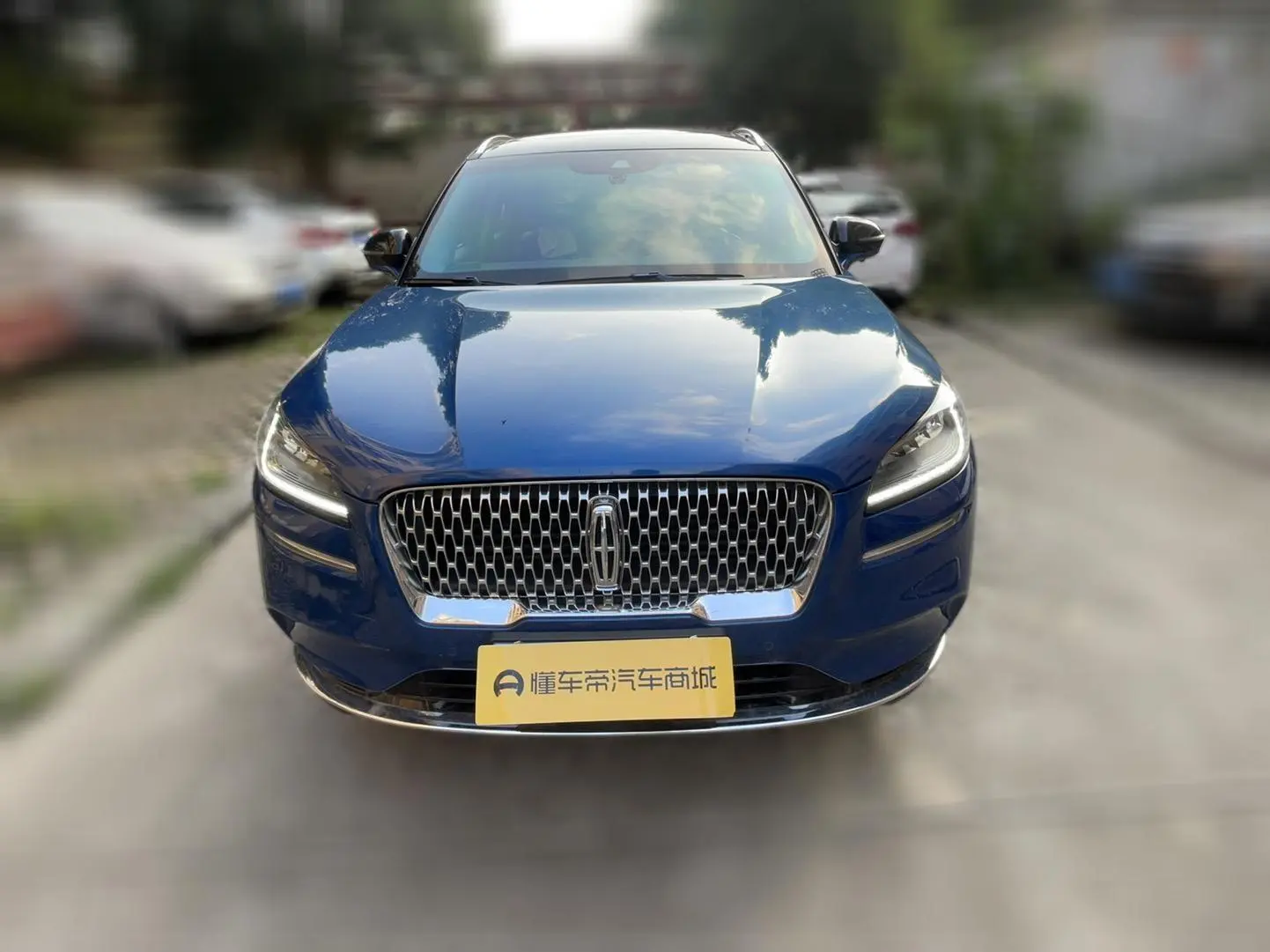 Lincoln Adventurer 2.0T two-wheel drive Zunya edition