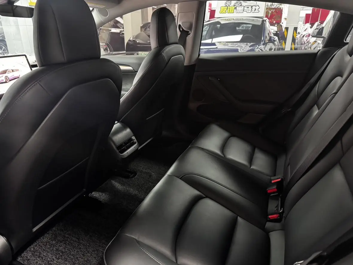 Tesla Model 3 Rear-wheel drive version
