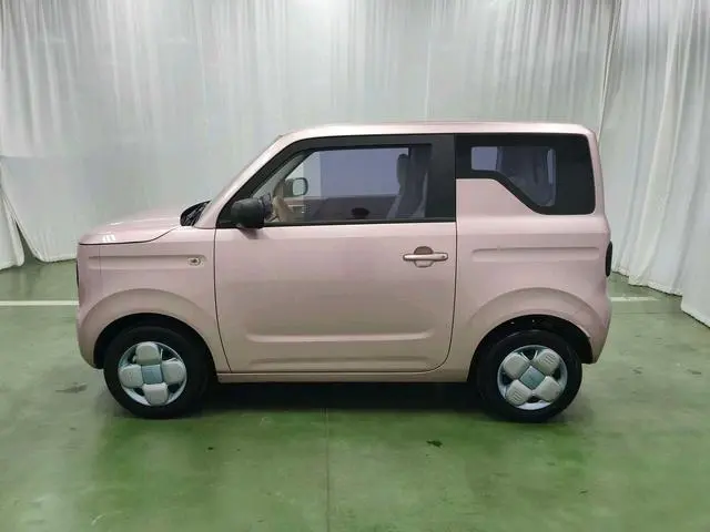 Geely Galaxy panda 200km panda mini endurance bear