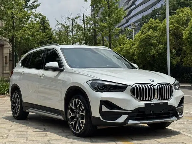 BMW BMW X1 xDrive25Li Exclusive type