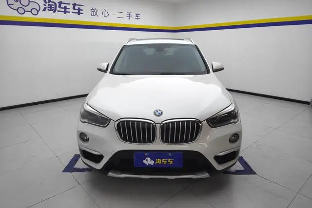 BMW BMW X1 xDrive20Li Exclusive type