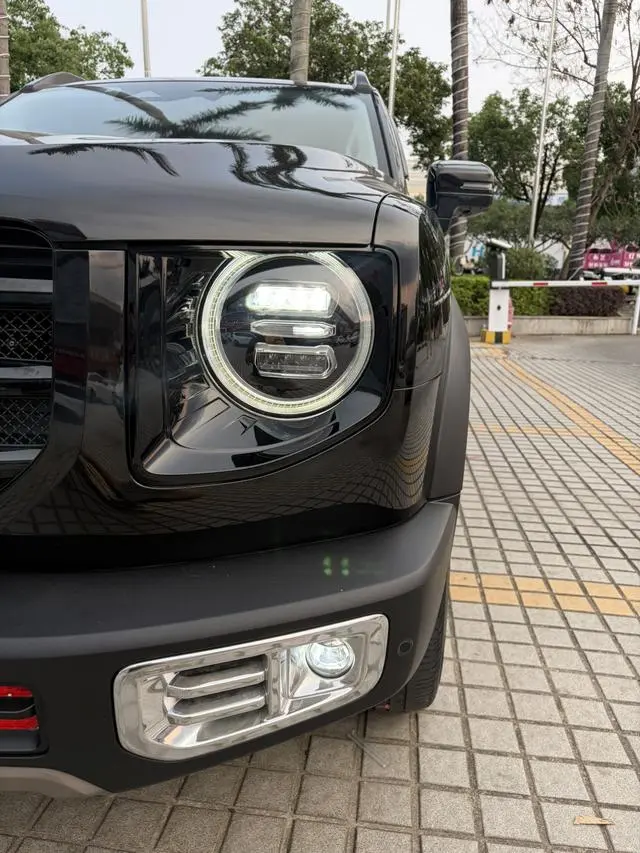 Haval Haval Big Dog 1.5T two-wheel drive horse and dog version