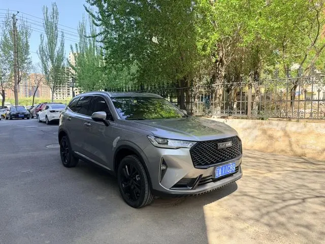 Haval Haval H6 The third generation 2.0T automatic four-wheel drive Max version