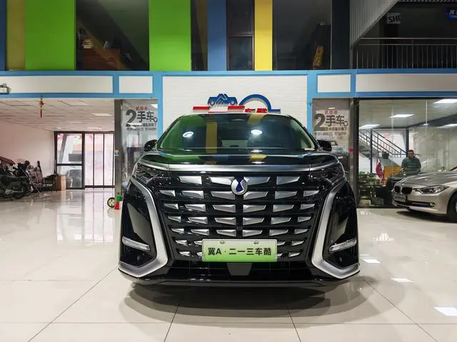 Denza Denza D9 DM 980 four-wheel drive premium type