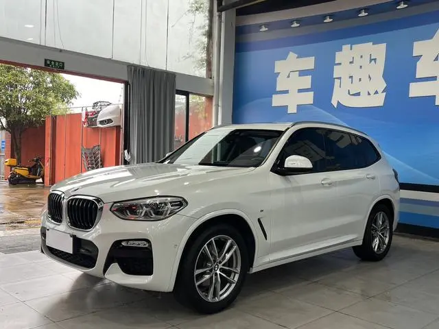 BMW BMW X3 xDrive25i M sports suit country VI