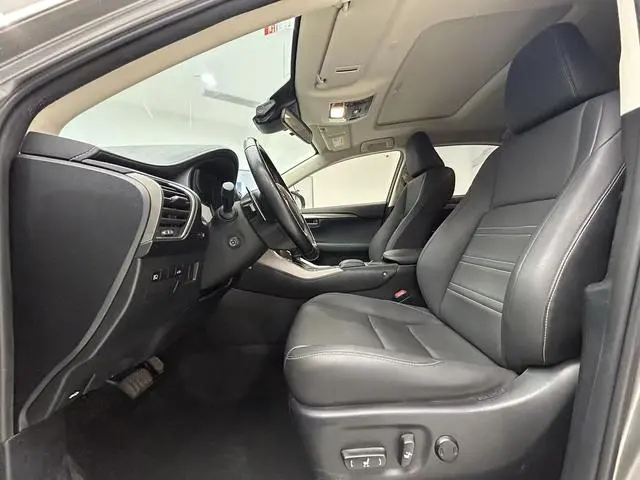 Lexus Lexus NX 300h front drive Fengshang version Country V