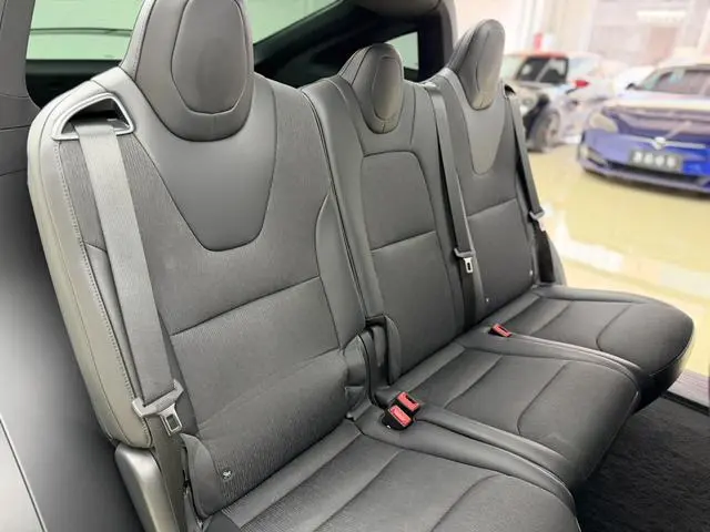 Tesla Model X 100D long battery life version