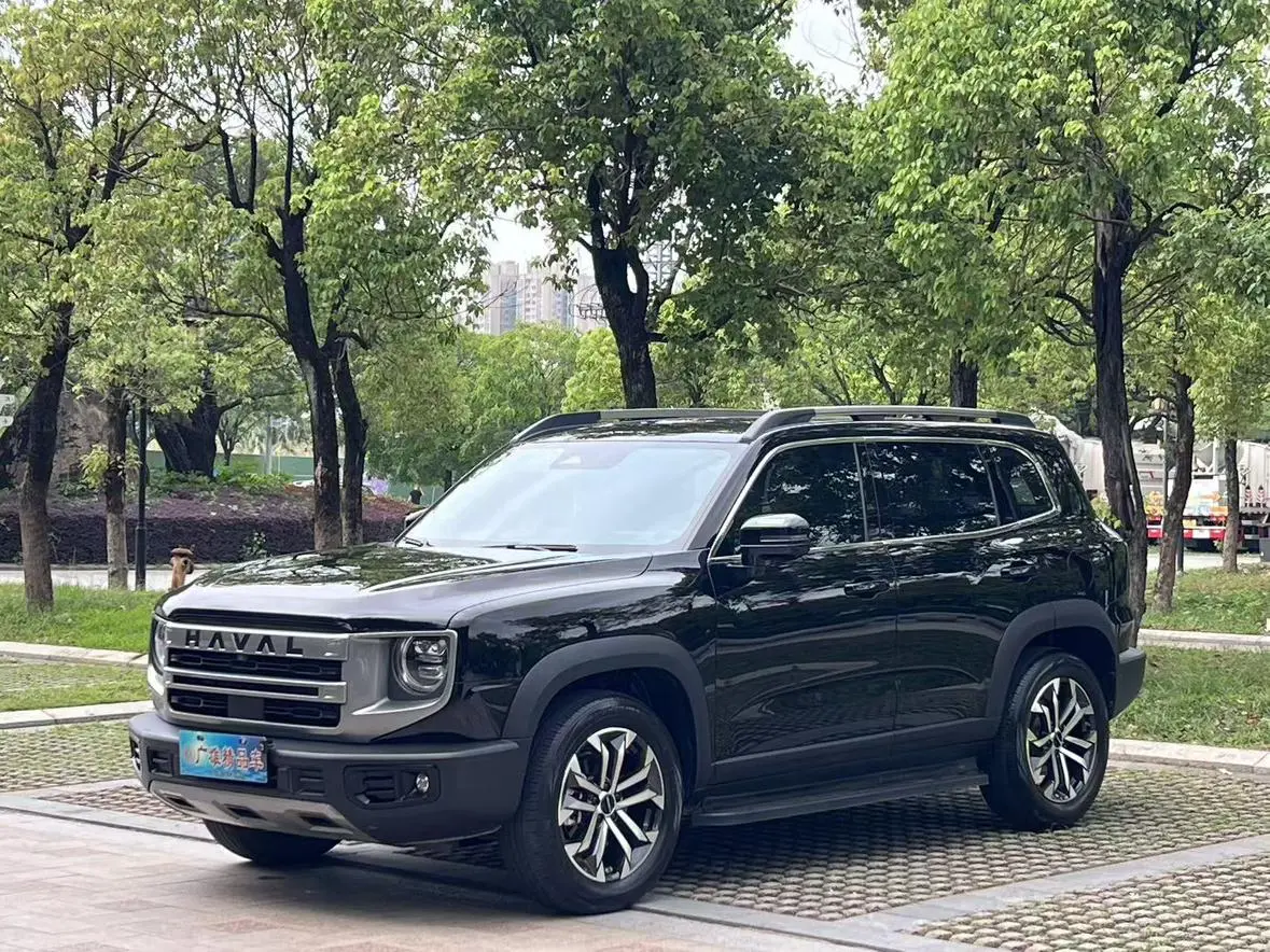 Haval Haval Big Dog 1.5T two-wheel drive side shepherd version