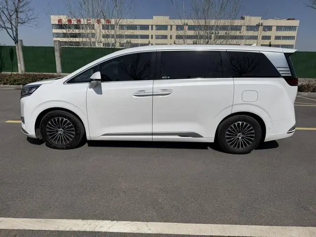 Denza Denza D9 DM 970 four-wheel drive flagship