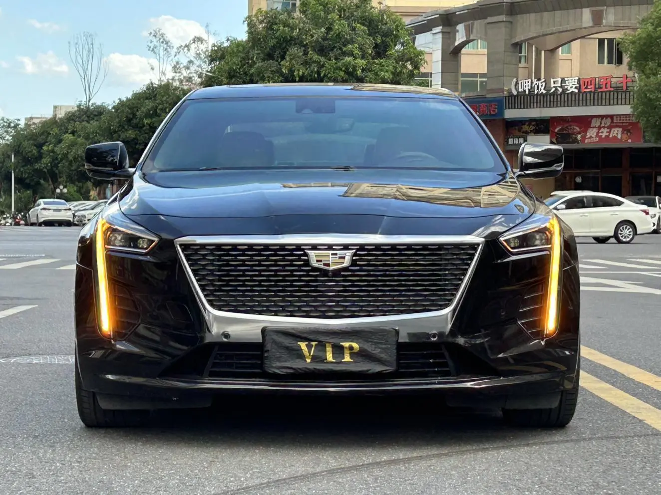 Cadillac Cadillac CT6 28T luxury