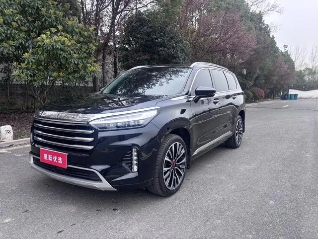 EXEED Xingtu Lanyue 390T two-wheel drive Star Rui Edition