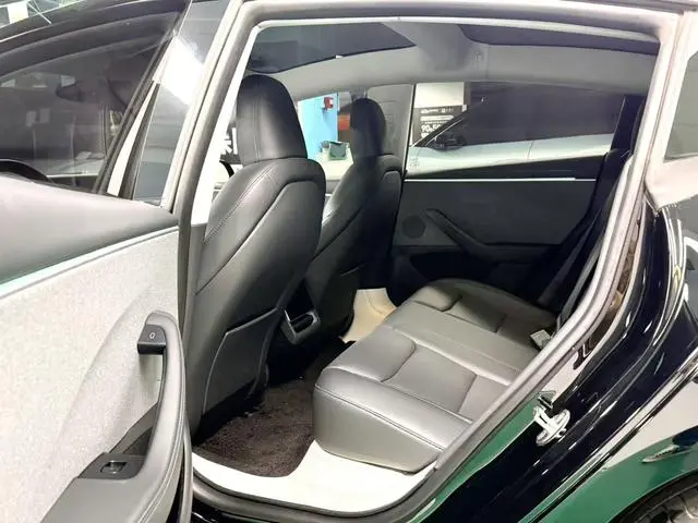 Tesla Model 3 Rear-wheel drive version