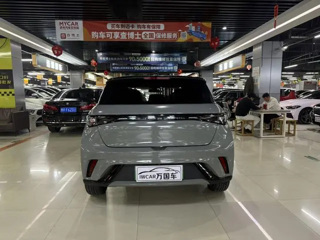 BYD dolphin Fashion edition