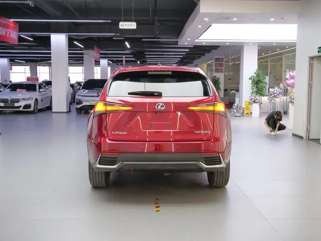 Lexus Lexus NX 300h full drive Fengzhi edition country VI