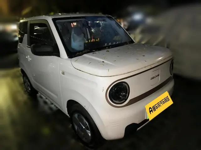 Geely Galaxy panda 200km panda mini endurance bear